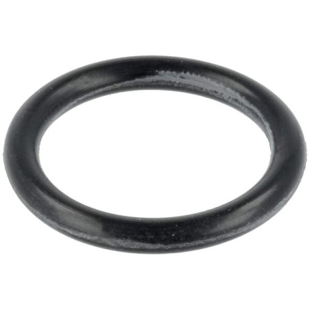 O-ring - P788076