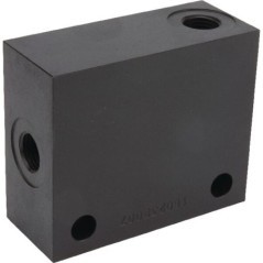 Body LS Amplifier ECT/S - PBDBLENHUIS