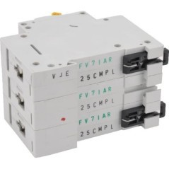 Miniature circuit-br.25A.3P,C - PLS6C253