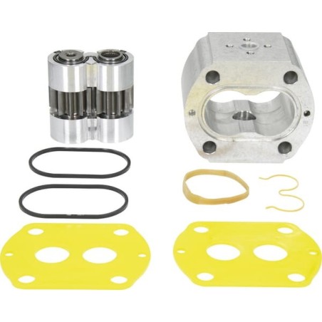 Element pompy PLP20.14-D0-86-S6-LEB/EA-N-I-FS - PLP2014DII