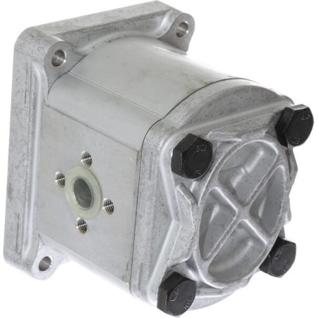 Zahnradpumpe Polaris 20 - PLP2011S082E2