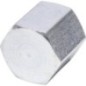 Cap 1/4 inch BSP - PF04C Cap 1/4 inch BSP - PF04C