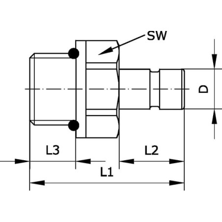Threaded connection plug G1/8 - PIF418B