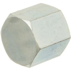 Cap 1/2 inch BSP - PF08C