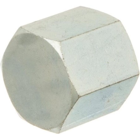 Cap 1/2 inch BSP - PF08C