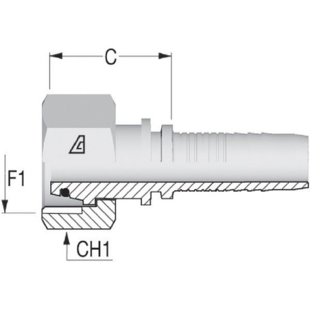 Insert DN16-M22x1.5-15L - PGLO1622