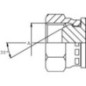 End Cap 3/8 BSP - PF06B End Cap 3/8 BSP - PF06B