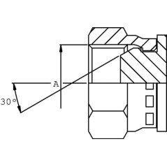 End Cap 1/8 BSP - PF02B