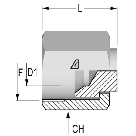 Verschlußkappe 3/4 UNF - PF12