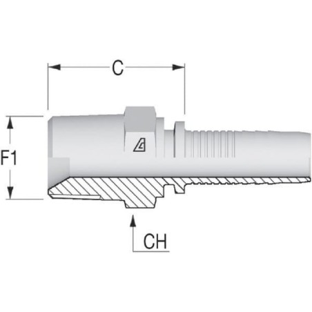 Insert DN05 1/8 inch BSPT - PNT52
