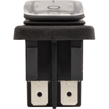 Biopolar switch 16A 250V - R16657000