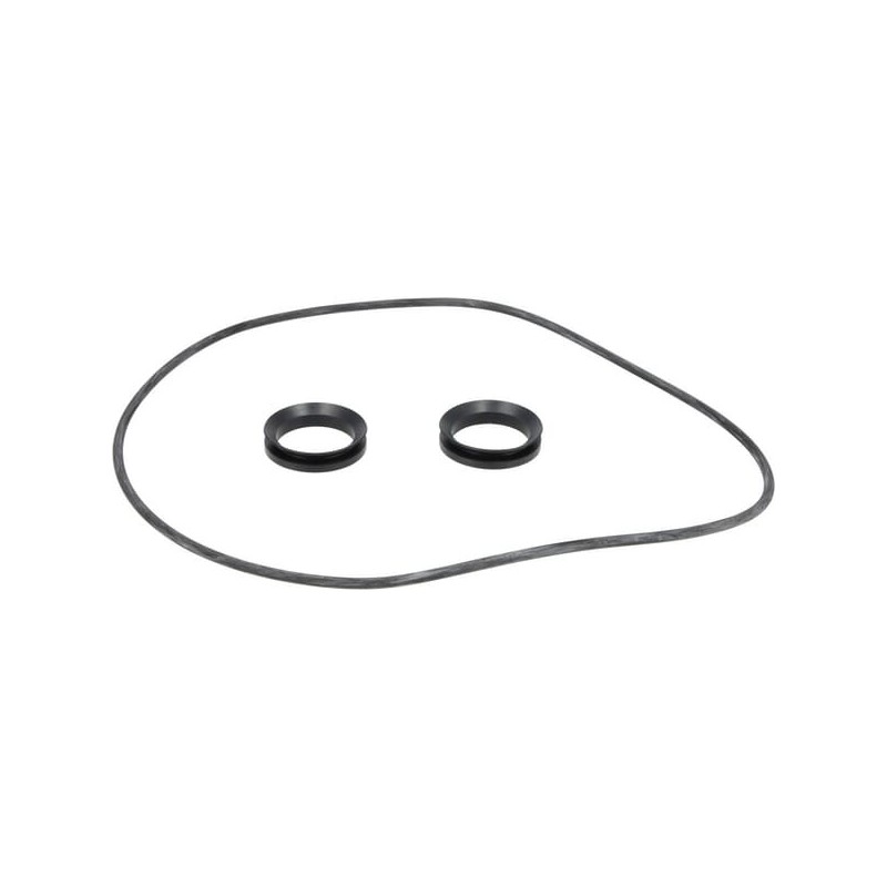 Satz O-Ringe - R00004894 Satz O-Ringe - R00004894