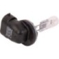 Żarówka - R136239 Żarówka - R136239