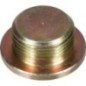 Ölablassschraube - R515195 Ölablassschraube - R515195