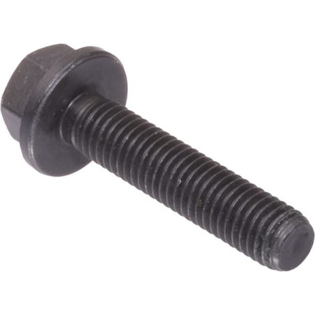 Hexagon Screw - R519484