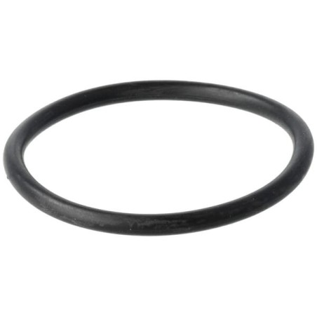 O-Ring - R31378