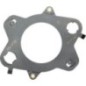Auspuffdichtung - R544294 Auspuffdichtung - R544294