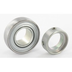 Spannlager - RAE25NPPBFA106