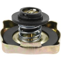 Kühlerdeckel - RC15001N