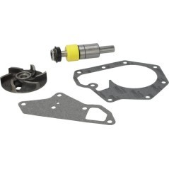 RE546936 John Deere, Wasserpumpen 