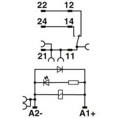 Relay module - RIF1RPTLDP24DC1X21