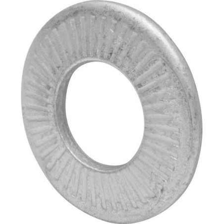 Rip-Lock Washer M10 FZB - RL10P200