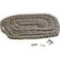 Roller chain Nickel plated - RS10B1NP