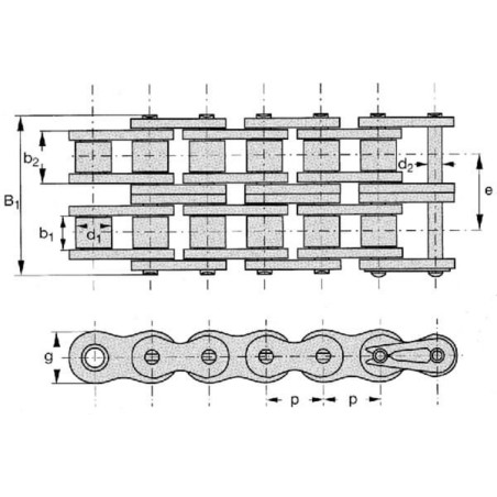 Roller chain dupl 1 1/2 x 1 - RS24B2