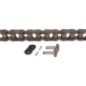 ASA 100 HT roller chain - RS100HT