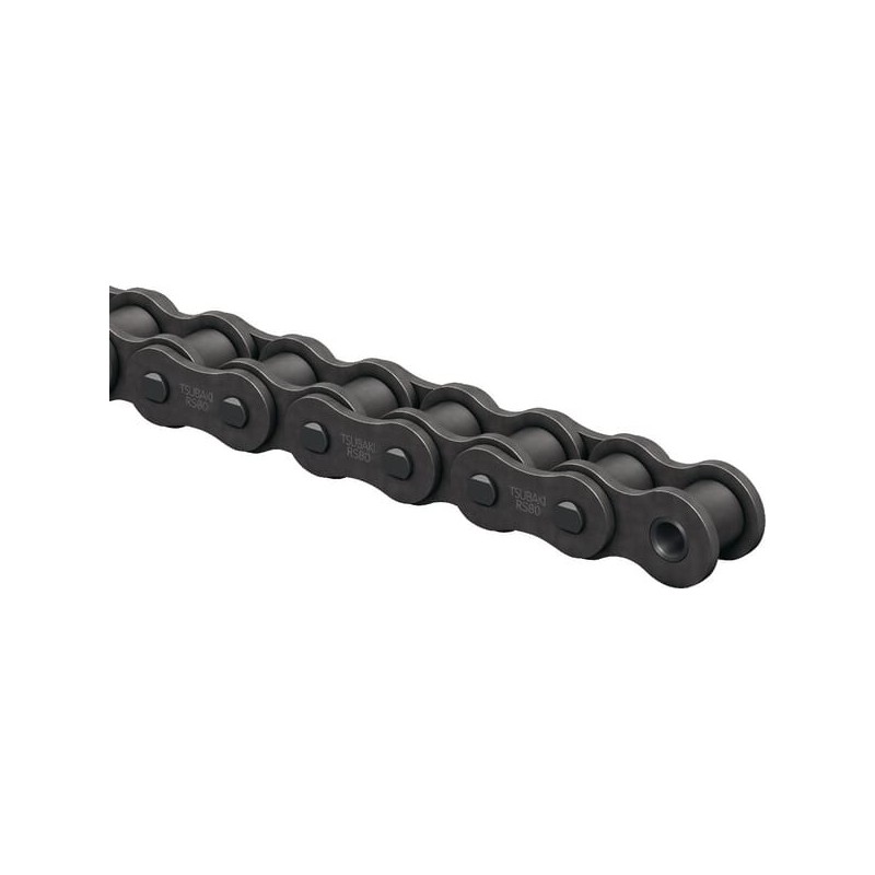 Roller chain ASA 40 - RS40