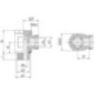 Angled banjo coupling - RSWS10LR38WD
