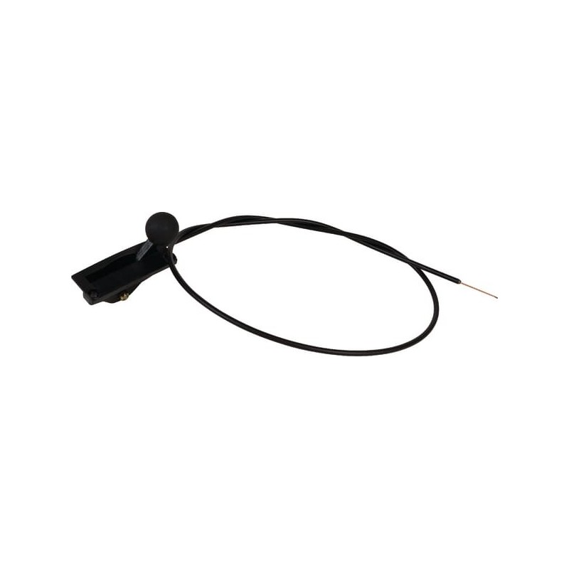 Control - SA12934 Control - SA12934