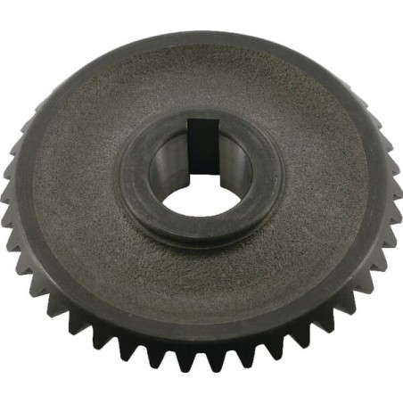 Zahnrad Z43 - RT86702