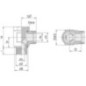 Angled banjo coupling - RSWS8SM14