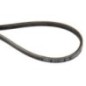 V-belt - SAU11284 V-belt - SAU11284