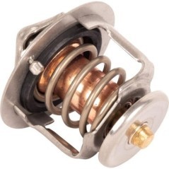 Termostat CNH - SBA145206220