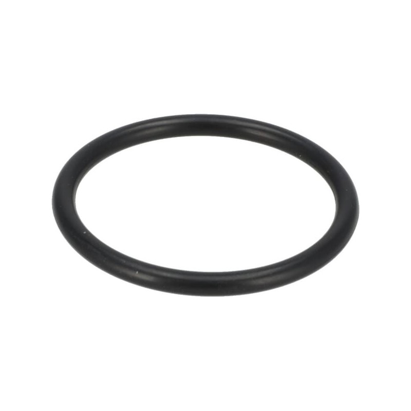 O-Ring - SBA052100400