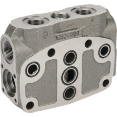 Section SDS150/P-BSP - SDS150P000