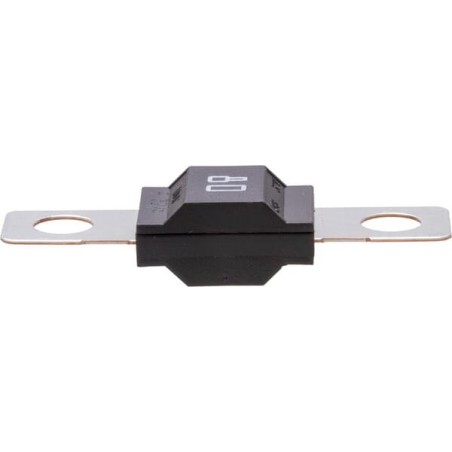 Fuse Strip 32V 80A Length 41mm white Pack 1x - SI20176