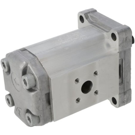 Pump SKP1NN/010RN01BAP1B2B2 - SKP1NN10RN01BA