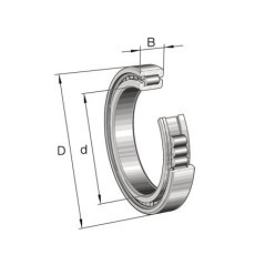 Cylindrical roller bearing - SL182948BC3
