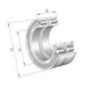 Cylindrical roller bearing - SL045015PP2NR Cylindrical roller bearing - SL045015PP2NR