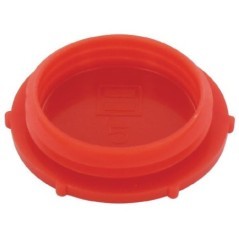 Dust plug BSP 1 inch - SP16L06