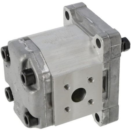 Pump SNP1NN/1,2RN01BAP1B2B1 - SNP1NN1RN01BAB21