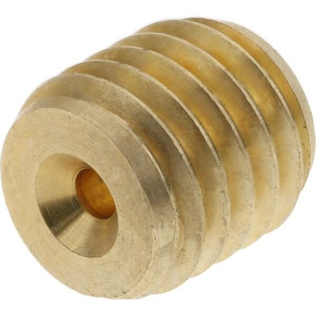 Throttle screw M10 diameter 2.2mm Br - SSM101220BR