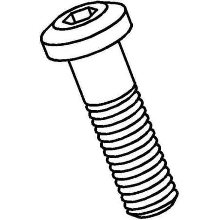 Clamping cover screw - SPSCR15