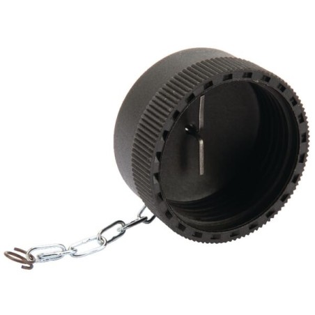 Dust cap 1 inch - SPVR25002