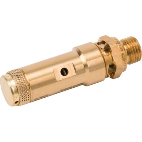 Zawór bezpieczeństwa 1/4 cali CE 6 bar - SV2122G04M06B