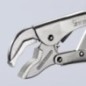 Locking pliers 250mm - TA4114250 Locking pliers 250mm - TA4114250