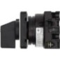 Rotary switch 1P, 20A - T018200E